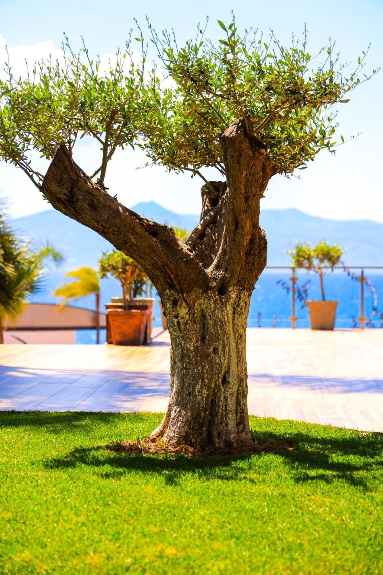 Hotel Apollon Sarande (Adults Only) Luaran gambar